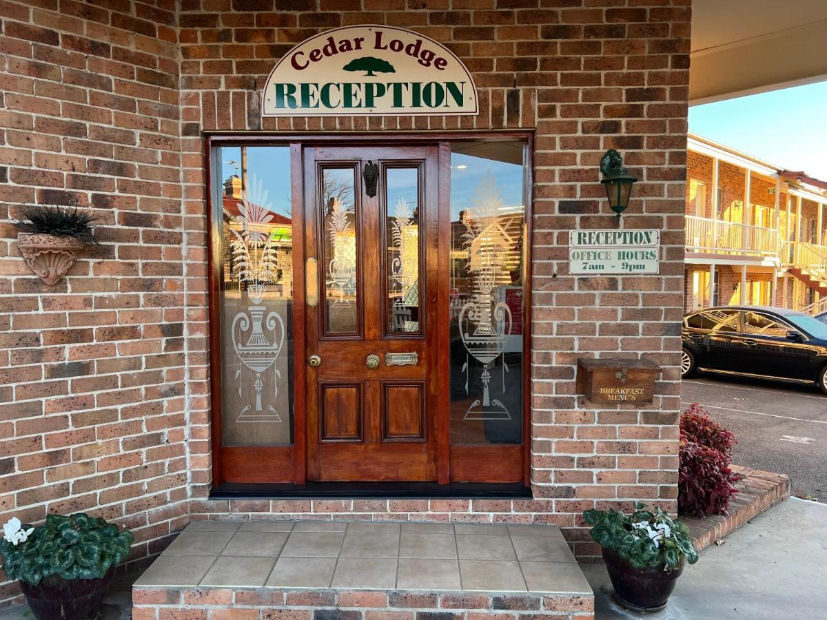Cedar Lodge Motel Армидейл Экстерьер фото