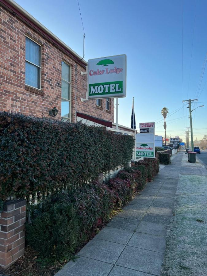 Cedar Lodge Motel Армидейл Экстерьер фото